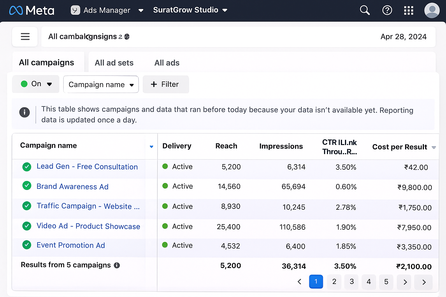 Meta ads results screenshot 1